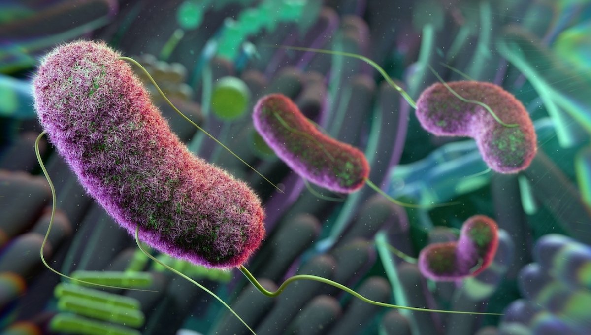 Microbiome therapy impact